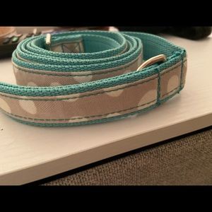 Thirty one dog leash